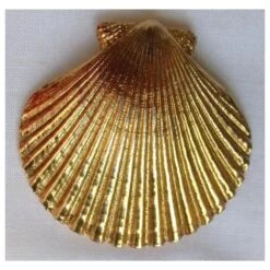 Yves Saint Laurent CLIPS COQUILLES SAINT JACQUES Doré -Yves Saint Laurent 151191 8